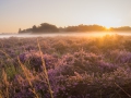 Zonsopkomst op de Hei