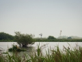 Landschap Nationaal Park De Alde Feanen Friesland