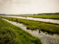 Landschap Nationaal Park De Alde Feanen Friesland